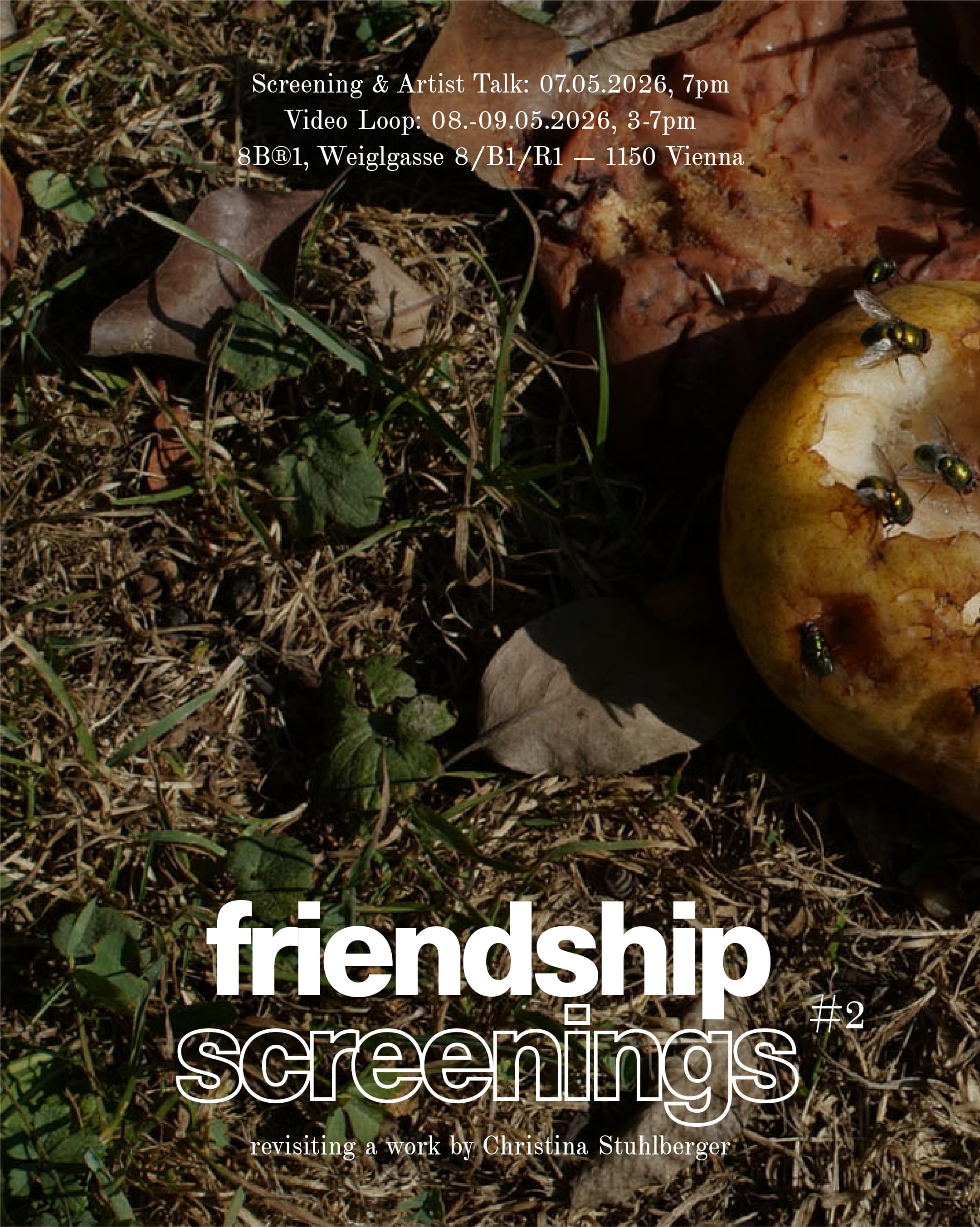 Graphic for the announcement of Friendship Screenings #2.